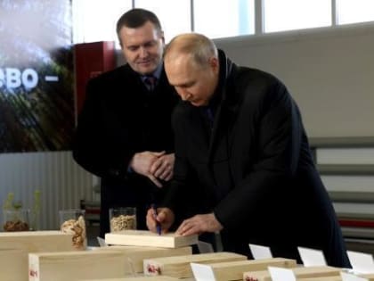 Президент заинтересовался воспроизводством: Владимир Путин начал свою предвыборную кампанию в СЗФО