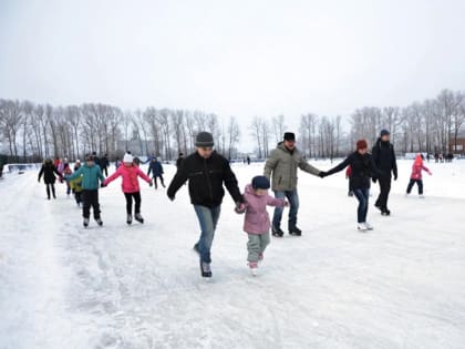 Бесплатно покататься на коньках могут жители Вологды