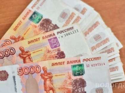 Поддержка многодетных семей в Вологде