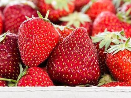 Эти четыре продукта снижают риск развития рака