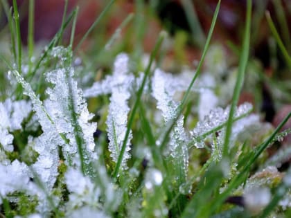 Похолодание вернется в Вологодскую область