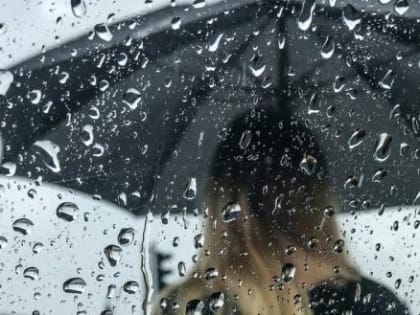 На Вологодчину пришла настоящая осень: заморозки, туманы, дожди и снег