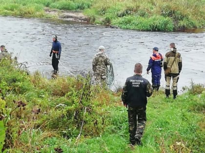 Стало известно, в какой семье воспитывалась пропавшая в Вологодской области девочка