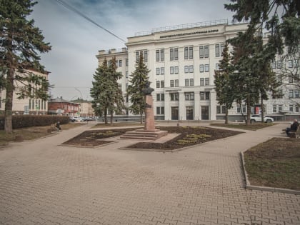 Сквер у здания картинной галереи лишился елей