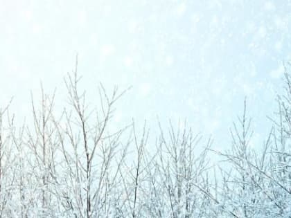 Вологодская область готовится к низким температурам в новогодние каникулы