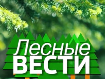 В эфир вышел третий выпуск программы "Лесные вести"