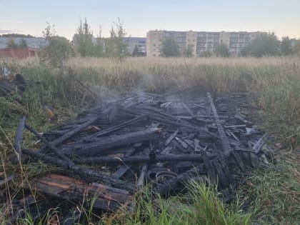 Из-за детской шалости произошел пожара в селе Молочное