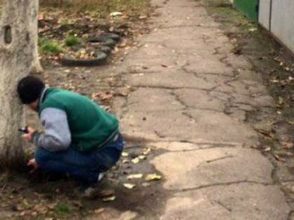 В Череповце задержат распространитель гашиша