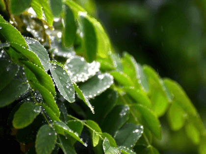 Небольшое похолодание придет в Вологодскую область