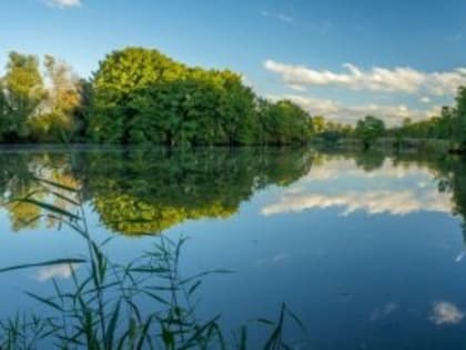 В водоёмах Вологодчины за сутки утонули двое человек