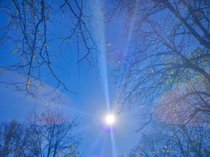 Жаркая погода сохранится до конца недели