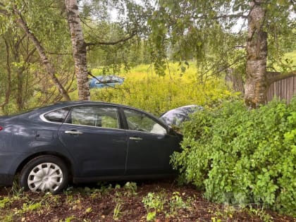 Появились подробности и видео жесткого ДТП в Вологодской области, после которого раненых вытаскивали из кювета