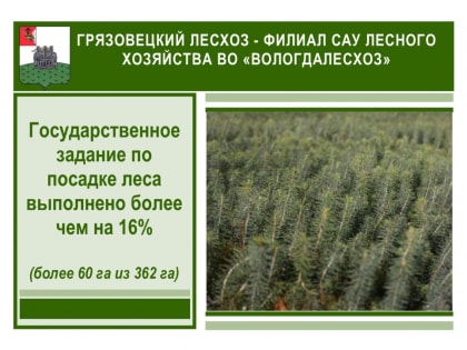 На территории Вологодской области начался сезон лесовосстановительных работ