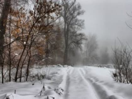 Погода на 31 декабря: пасмурно