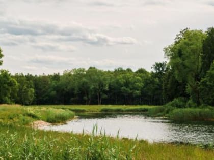 Холодный атмосферный фронт принесет похолодание на Вологодчину
