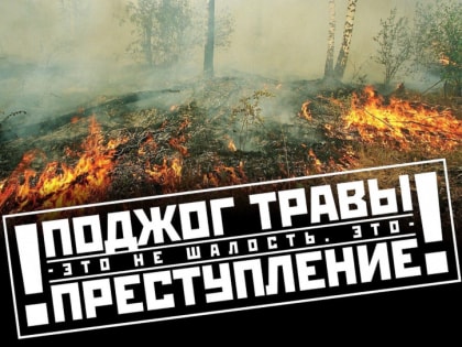 В России принят закон о 10-кратном увеличении штрафов для граждан и 2-кратном - для должностных и юридических лиц за учинение пожаров и сжигание травы рядом с лесами