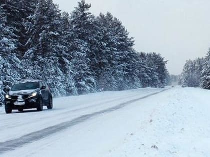 Тотемские спасатели не дали замерзнуть женщине с сыном на федеральной трассе