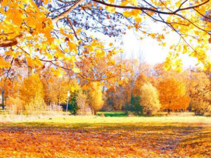 Погода в Вологодской области: Ожидается переменчивое тепло после холодного фронта