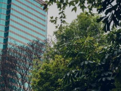 Вологодский феномен: станет ли наш регион Силиконовой долиной?