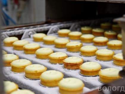 12,8 тонн вологодского мороженого отправили в Монголию