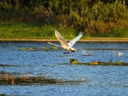 В Дарвинском заповеднике появится экомаршрут «Летопись природы» (ВИДЕО)