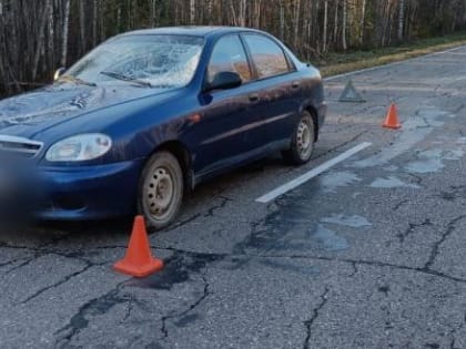 На трассе в Вологодской области водитель «Шанса» расправился с внезапным пешеходом
