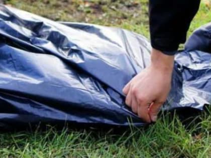 Найдено тело погибшего при крушении вертолёта на озере Воже в Вологодской области