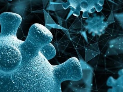 Страшная инфекция STSS начала распространяться по префектурам Японии