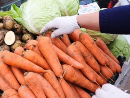 На Вологодчине продолжают работу ярмарки