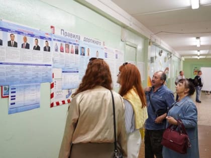 Явка избирателей в Вологде на выборах 2024 года