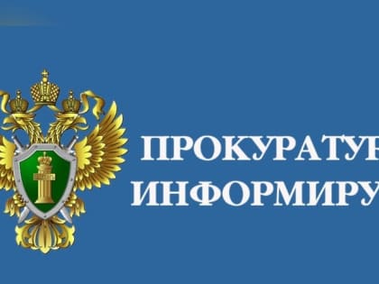 Рубка леса на «белом пятне» = хищение  чужого имущества