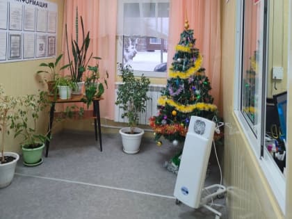 Вологодская ЦРБ рассказывает о работе в праздничные дни с 1 по 8 января