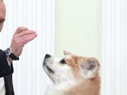 Во Франции предложили ввести санкции против собаки президента Путина