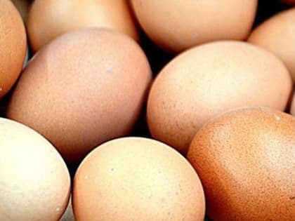 Минсельхоз определило период снижения стоимости яиц