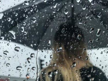 До конца рабочей недели вологжане передохнут от жары под грозовыми ливнями