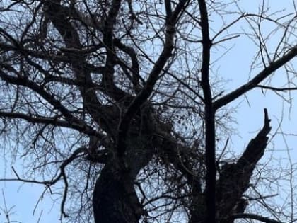 Что поможет улучшить качество сна в зимний период