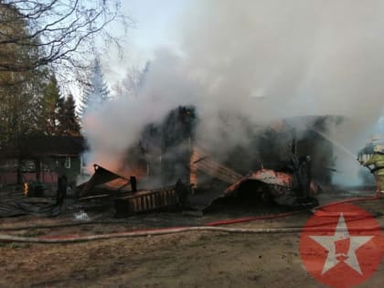 Под Шексной пятеро взрослых и ребенок пострадали при пожаре в дачном доме