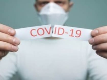 COVID-19 в Вологодской области: выявили 34 заражённых