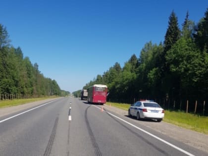 Полный детей автобус врезался в грузовик