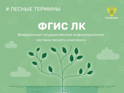 Цифровым двойником леса можно смело назвать ФГИС ЛК. Это интернет-платформа, которая объединит в себе всю информацию о лесной отрасли в России