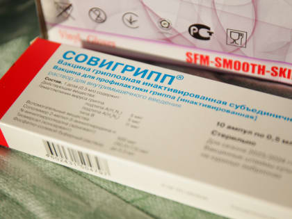 В Череповце на хоккейных матчах будут прививать от гриппа