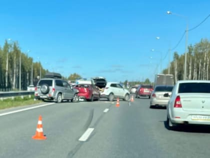 В аварии под Череповцом погибла женщина, ставившая аварийный знак