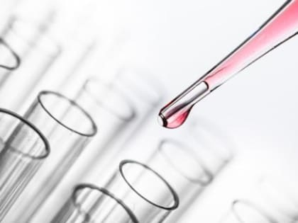 Роспотребнадзор: Каков риск чумы из Монголии на территории России