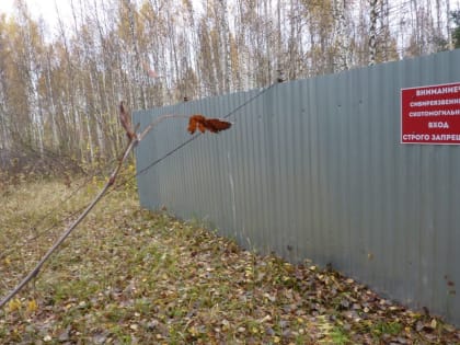Вологодские ветврачи проводят профилактику сибирской язвы
