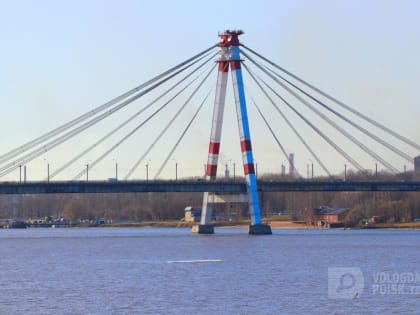 В Череповце рядом с Октябрьским мостом появились ондатры