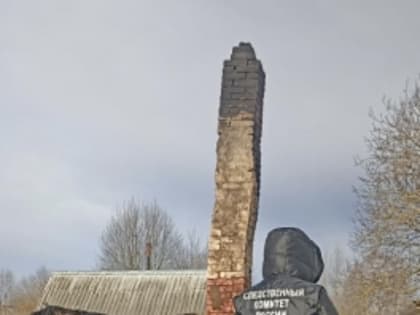 60-летний мужчина стал тридцать второй жертвой огненной стихии на Вологодчине с начала года