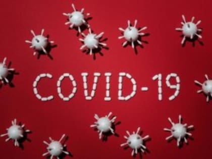 COVID-19 в Вологодской области: болезнь подтвердилась у 35 человек