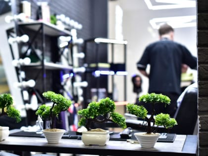 В Вологде становится больше экологичных организаций, готовых делиться опытом