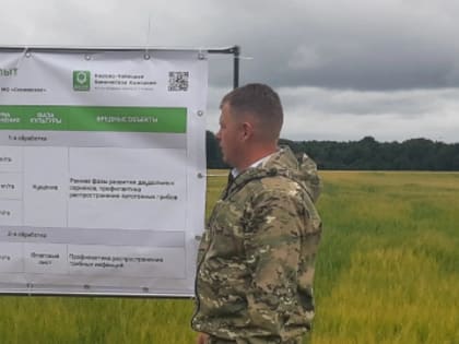 Как создать лучшие условия для получения высоких урожаев зерновых культур обсудили растениеводы области