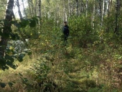 В Сокольском районе в лесу потерялся мужчина